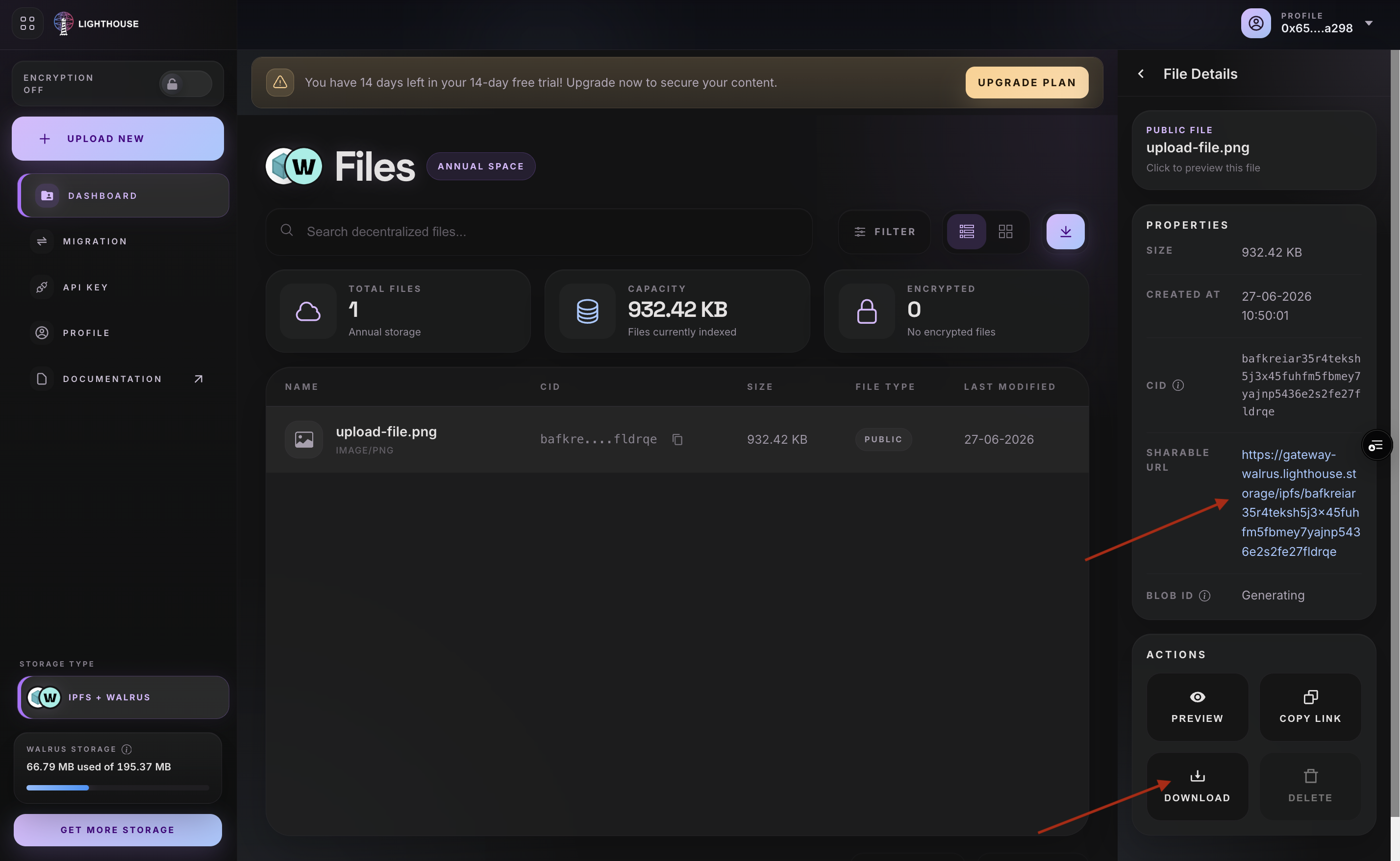 View a file in the Walrus dashboard